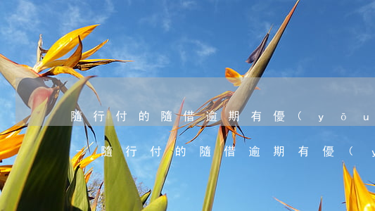 隨行付的隨借逾期有優(yōu)惠減免嗎-隨行付的隨借逾期有優(yōu)惠減免嗎是真的嗎