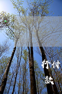 隨行付網(wǎng)貸逾期怎么辦(隨行付貸款)