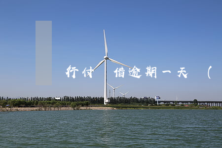 隨行付隨借逾期一天會(huì)打電話嗎-