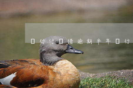 隨行付隨借逾期半年(隨行付隨借逾期半年)