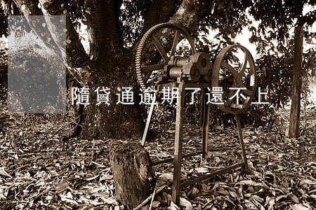 隨貸通逾期了還不上