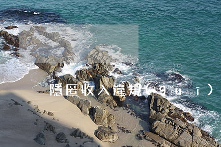 隱匿收入違規(guī)列支稽查的案例