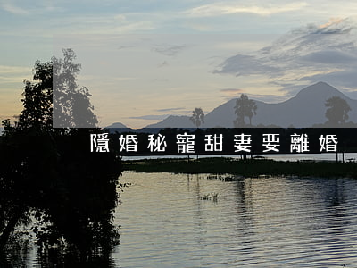 隱婚秘寵甜妻要離婚