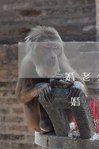 隱婚老公離婚請(qǐng)簽字(隱婚老公離婚請(qǐng)簽字免費(fèi)全文)