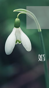 隱婚離婚老公請(qǐng)簽字