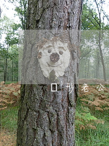 隱形老公離婚請(qǐng)簽字