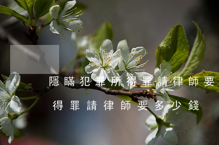 隱瞞犯罪所得罪請律師要多少錢?(隱瞞犯罪所得罪請律師要多少錢?) 隱瞞犯罪所得罪請律師要多少錢?(隱瞞犯罪所得罪請律師要多少錢?)