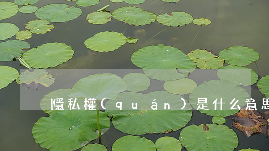 隱私權(quán)是什么意思