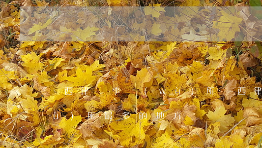 隴西律師事務(wù)所(隴西律師事務(wù)所最多的地方)