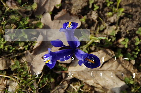 隴西請(qǐng)一個(gè)律師要多少錢(隴西請(qǐng)一個(gè)律師要多少錢)