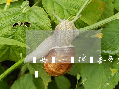 隴西請一個律師要多少錢(隴西律師的電話號碼)