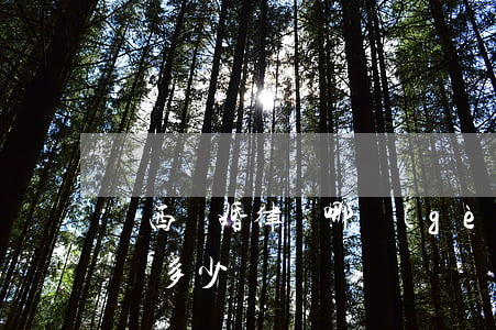 隴西離婚律師哪個(gè)好(隴南市律師電話多少)