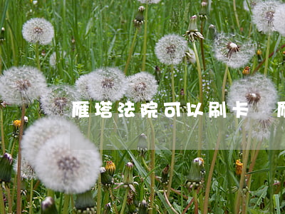 雁塔法院可以刷卡嗎(雁塔法院可以刷卡嗎)