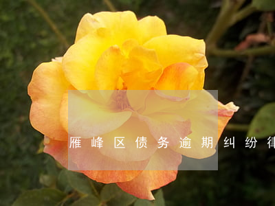 雁峰区债务逾期纠纷律师 雁峰法院判决书