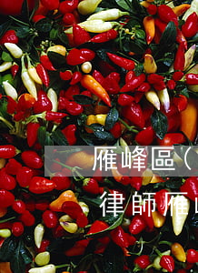 雁峰區(qū)債務(wù)逾期糾紛處理律師(雁峰區(qū)法院信息公開(kāi)網(wǎng))