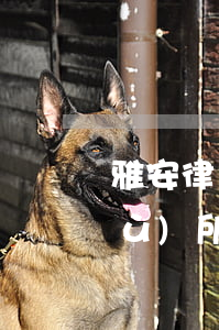 雅安律師事務(wù)所(雅安律師事務(wù)所)