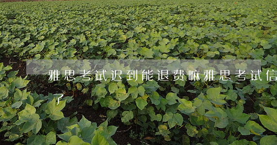 雅思考试迟到能退费嘛（雅思考试信用卡逾期了）