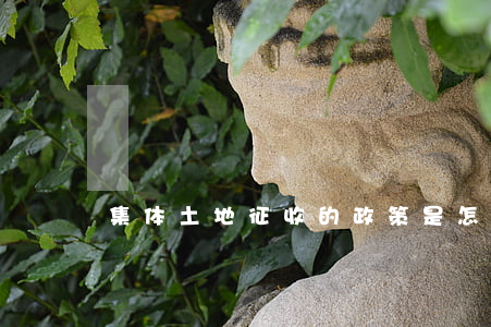 集体土地征收的政策是怎样的