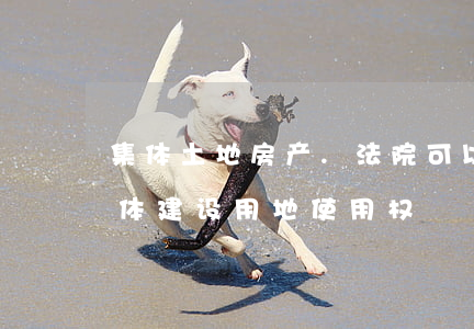 集体土地房产.法院可以执行吗(法院执行集体建设用地使用权)