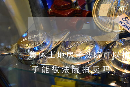 集体土地房子法院可以拍卖吗(国有土地的房子能被法院拍卖吗)