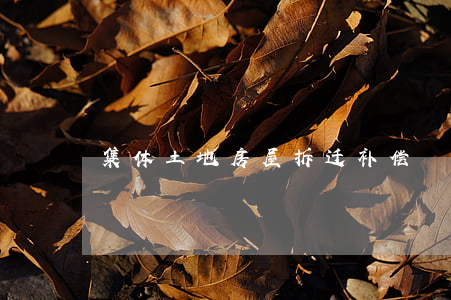 集体土地房屋拆迁补偿