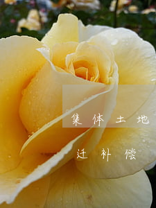 集体土地房屋拆迁补偿(溧水集体土地房屋拆迁补偿)