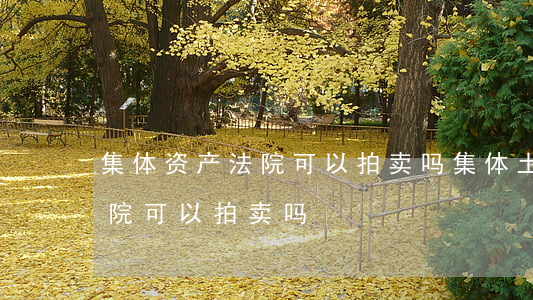 集体资产法院可以拍卖吗(集体土地使用权法院可以拍卖吗?)