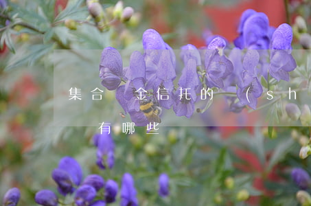 集合資金信托的設(shè)計(jì)原則有哪些