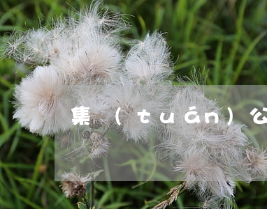 集團(tuán)公司注冊(cè)條件