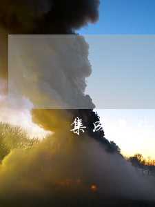 集成電路布圖設計保護條例