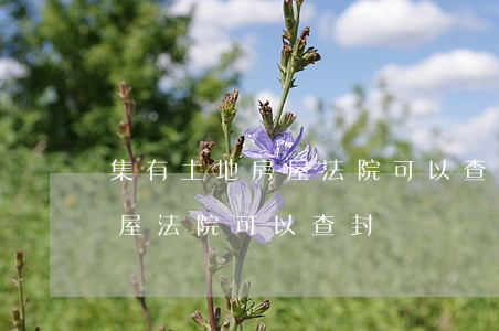 集有土地房屋法院可以查封嗎(集體土地的房屋法院可以查封嗎)