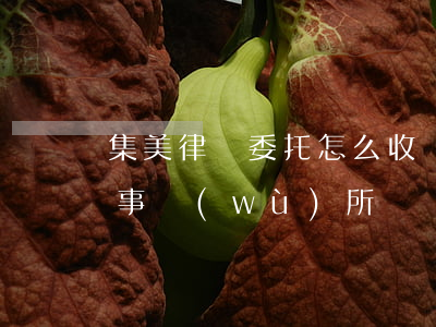 集美律師委托怎么收費(fèi)(集美律師事務(wù)所)