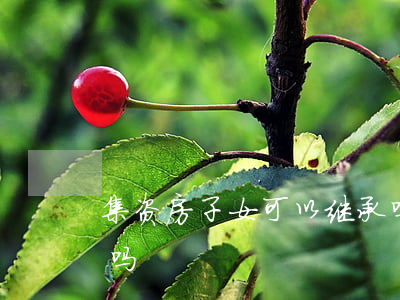 集资房子女可以继承吗(楼房可以继承给子女吗?)