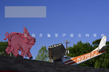 集资诈骗罪严重会判死刑吗
