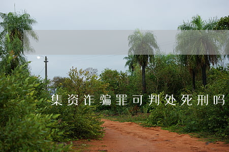 集资诈骗罪可判处死刑吗