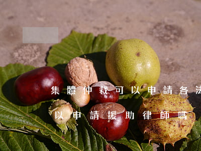 集體仲裁可以申請各法律援助嗎(勞動仲裁可以申請援助律師嗎)