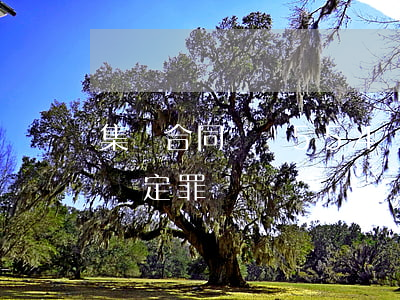 集體合同詐騙554萬判多少年(合同詐騙2億定罪)