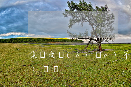 集體商標(biāo)不得轉(zhuǎn)讓嗎