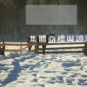 集體商標與證明商標的含義是如何的