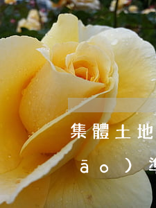 集體土地上房屋拆遷補(bǔ)償標(biāo)準(zhǔn)有哪些呢