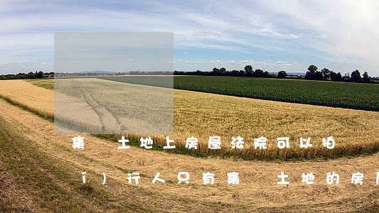 集體土地上房屋法院可以拍賣嗎(被執(zhí)行人只有集體土地的房屋可以拍賣嗎)