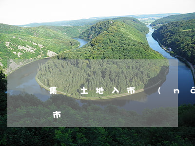 集體土地入市(農(nóng)村集體土地入市)