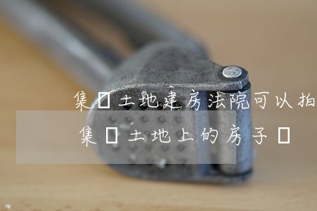 集體土地建房法院可以拍賣嗎(法院可以拍賣集體土地上的房子嗎?)