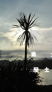 集體土地房屋繼承協(xié)議怎么寫(房屋土地繼承協(xié)議書)
