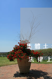 集體土地法律法規(guī)(集體土地在法律上有哪些規(guī)定)