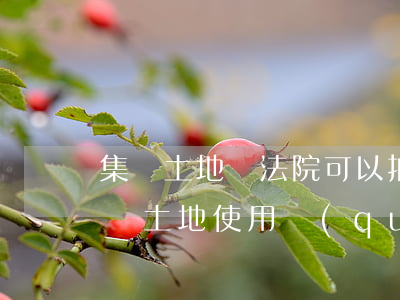 集體土地證法院可以拍賣嗎(法院能否拍賣集體土地使用權(quán))