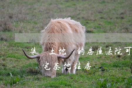 集體土地證的房屋法院可以拍買嗎(法院能拍賣宅基地住房嗎)