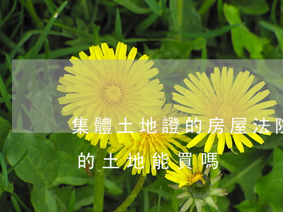 集體土地證的房屋法院可以拍賣嗎(法院拍賣的土地能買嗎)