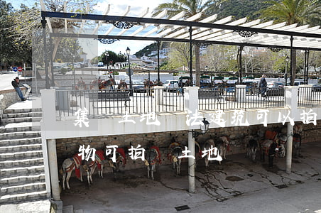 集體土地違法建筑可以拍賣嗎(土地上有建筑物可拍賣土地嗎)