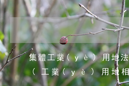 集體工業(yè)用地法律法規(guī)(工業(yè)用地相關(guān)法律法規(guī))